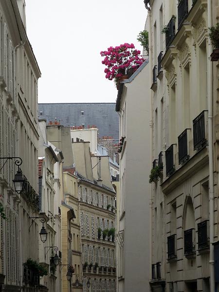 Paris (65).JPG